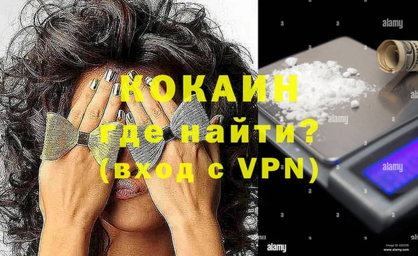 индика Баксан