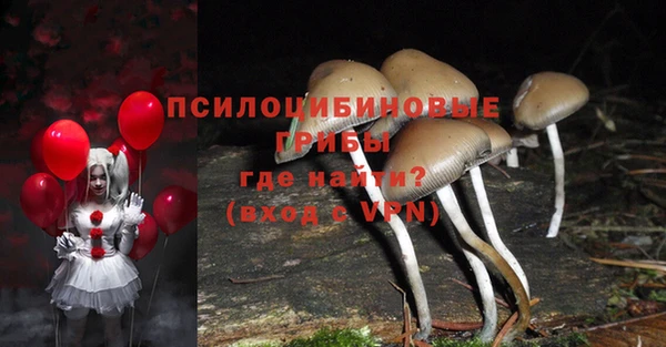 эйфоретик Грязовец