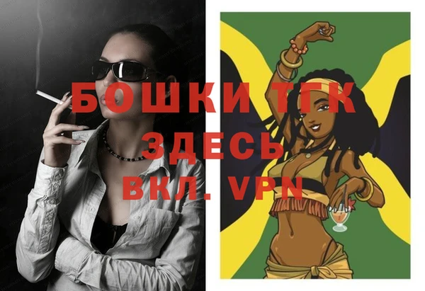 сатива Губаха