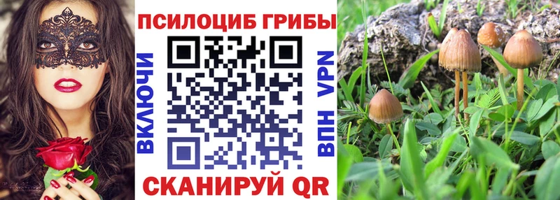 kraken онион  Кинель  Галлюциногенные грибы GOLDEN TEACHER 